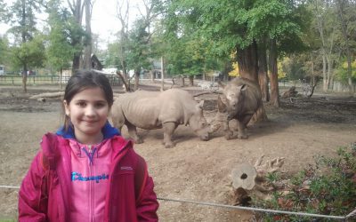 La zoo