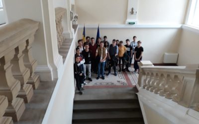 Activități de clasa a-IX -a