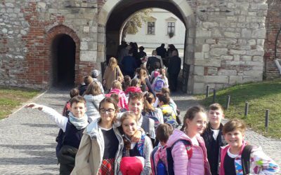 Clasa a IV-a B -primii paşi în studiul istoriei