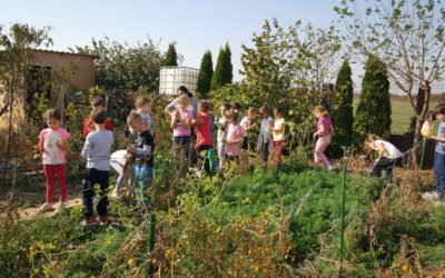 Clasa spiriduşilor – continuă explorarea naturii
