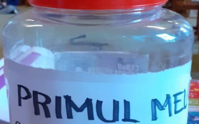 Primul nostru studiu tematic
