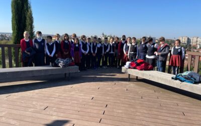 Studiul tematic – ”Oradea, oraşul de pe Crişul Repede„