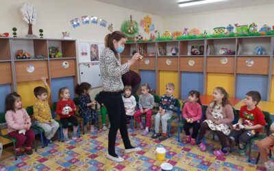 Grupele de grădiniță A, B, C, D, E, despre Proiectul Plantropolis