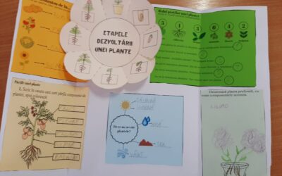 ,,Step by Step pentru o comoară verde”