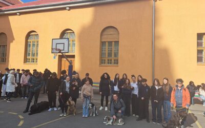 Întâlnirea  cu cățeii la Liceul Greco-Catolic “Iuliu Maniu” – o lecție de responsabilitate și empatie pentru elevi